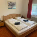 Durst 2 Holiday home Mayrhofen